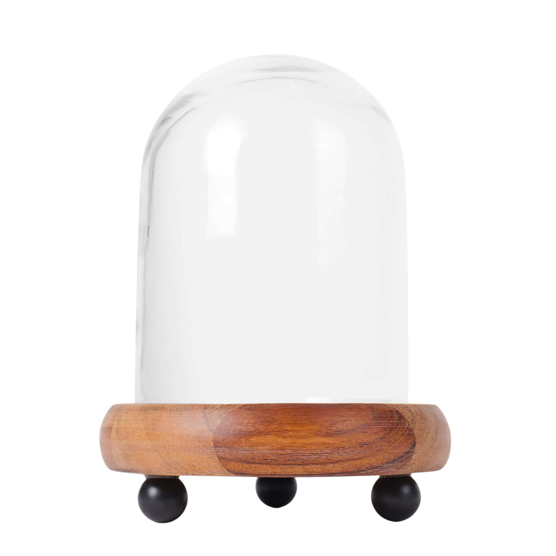 Glass dome with pedestal base for showcasing decorative items