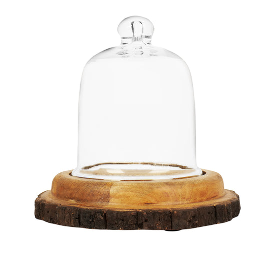 Cake Dome with Natural Bark Platter - 5 x 5 inch