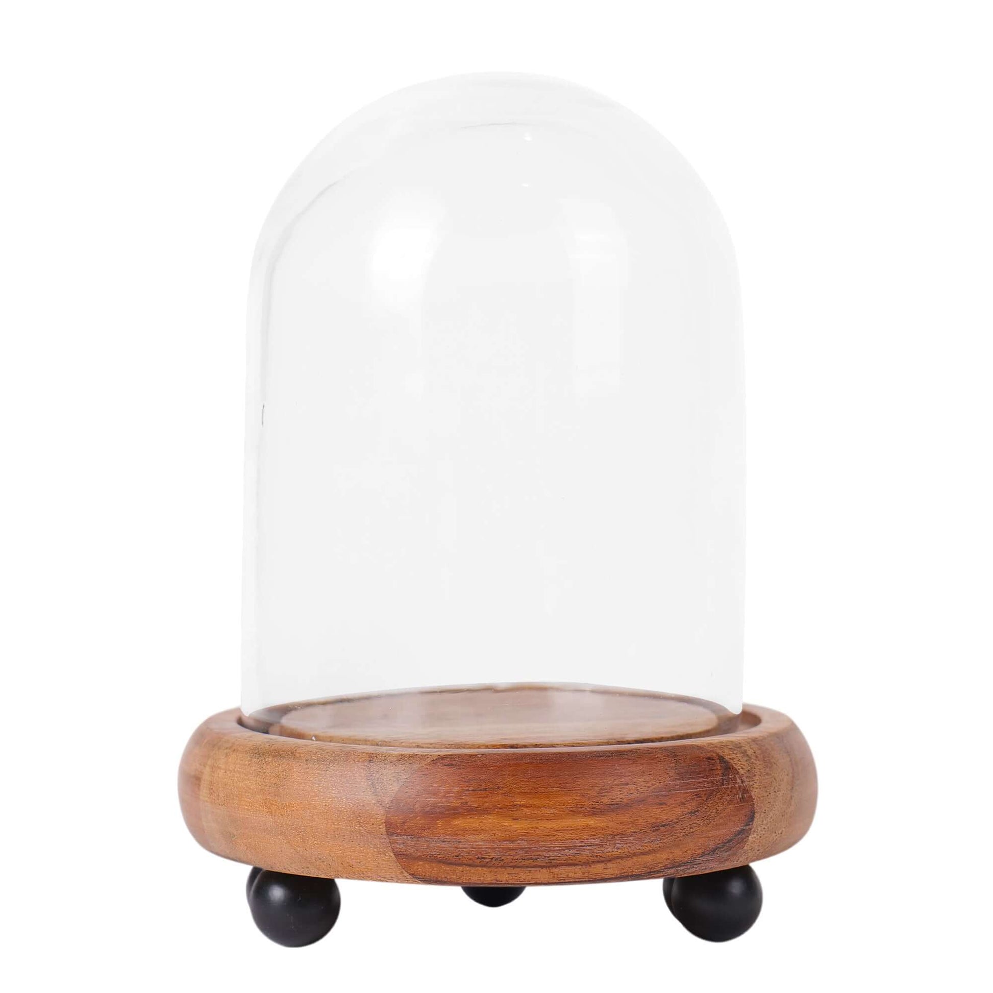 Miniature glass dome for displaying small treasures and trinkets