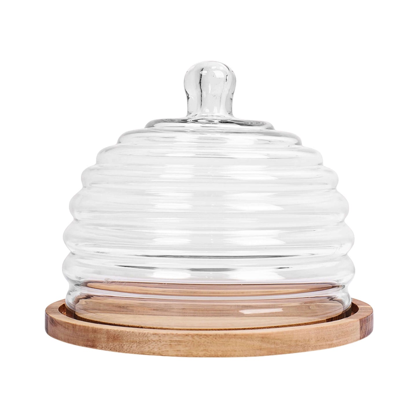 Sweet Sanctuary: Cake Dome for the Modern Baker