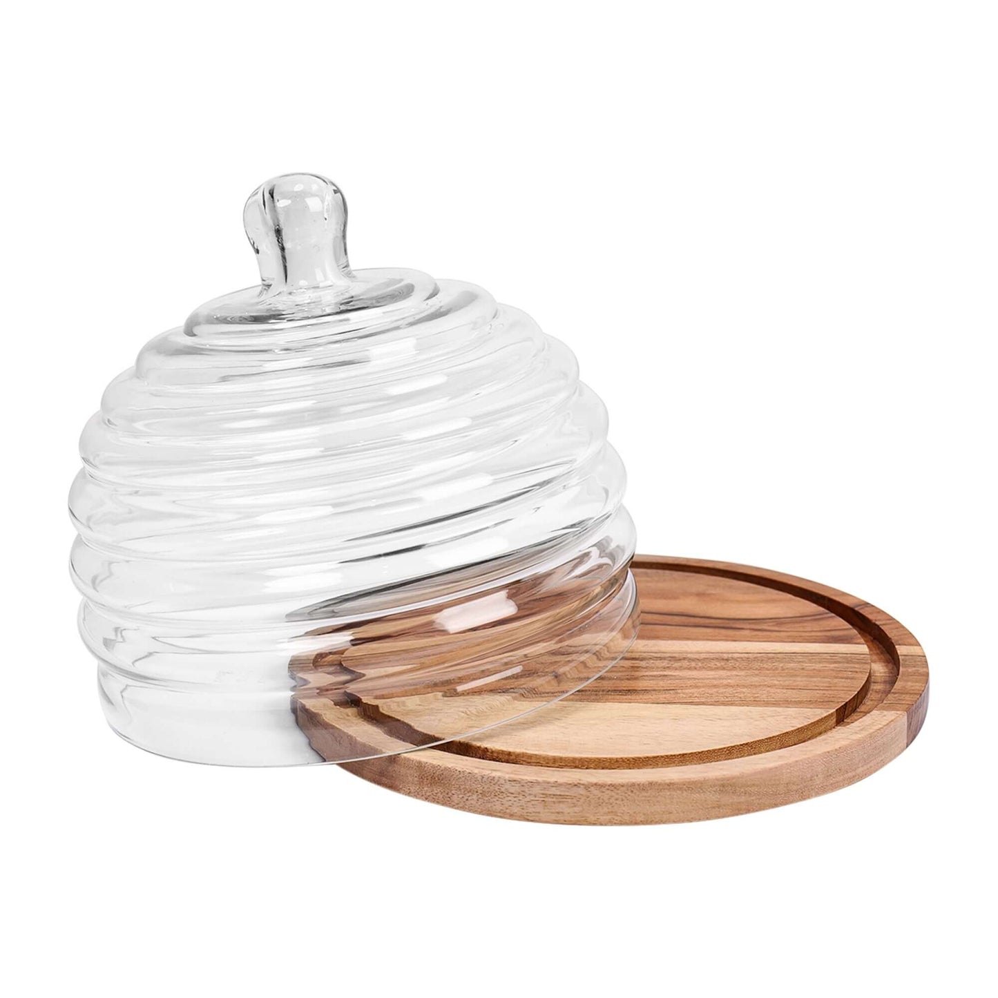 Sweet Sanctuary: Cake Dome for the Modern Baker