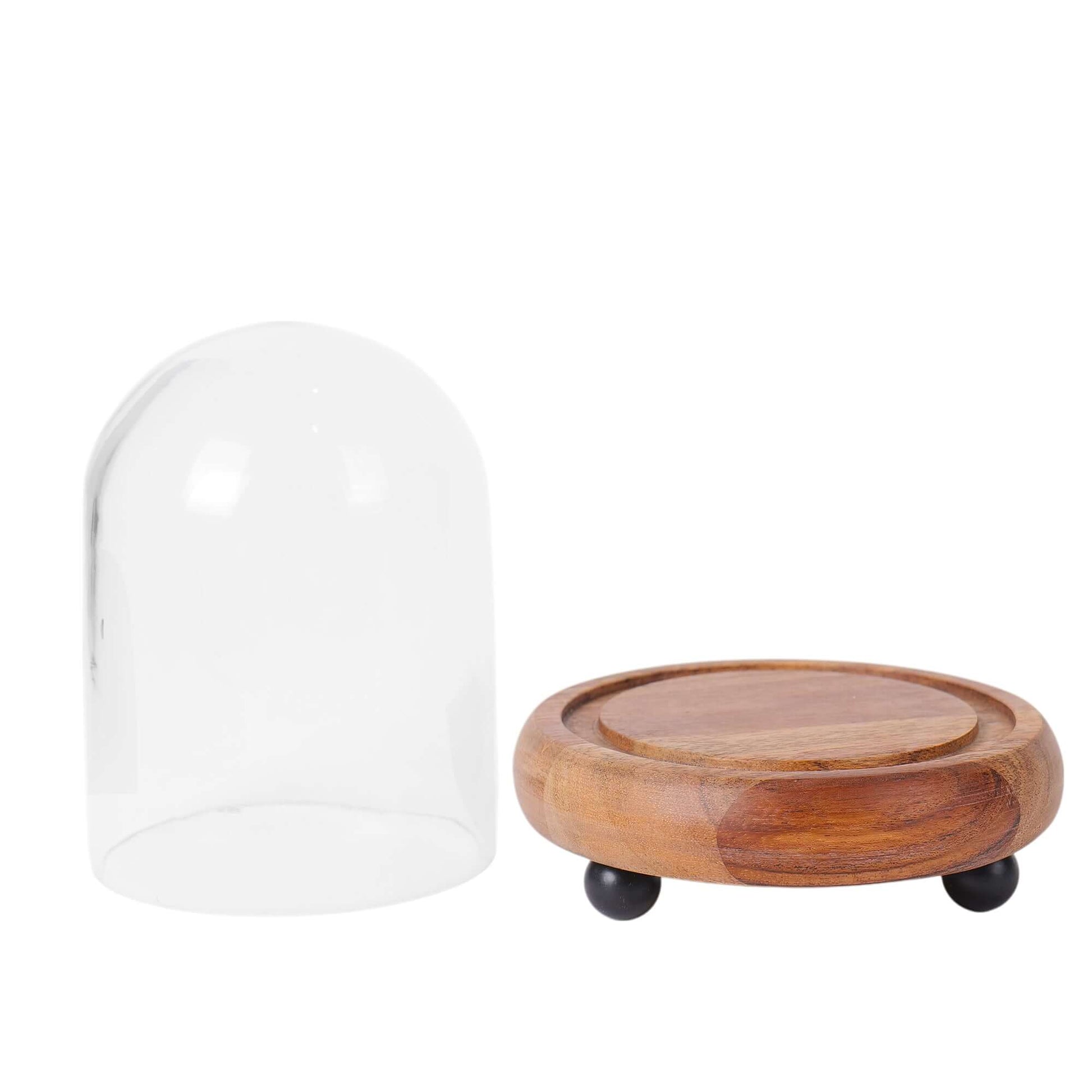 Wooden base glass dome for rustic and vintage-inspired decor