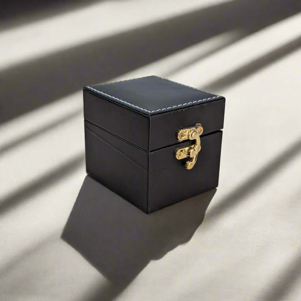 Compact watch organizer for small spaces and travel