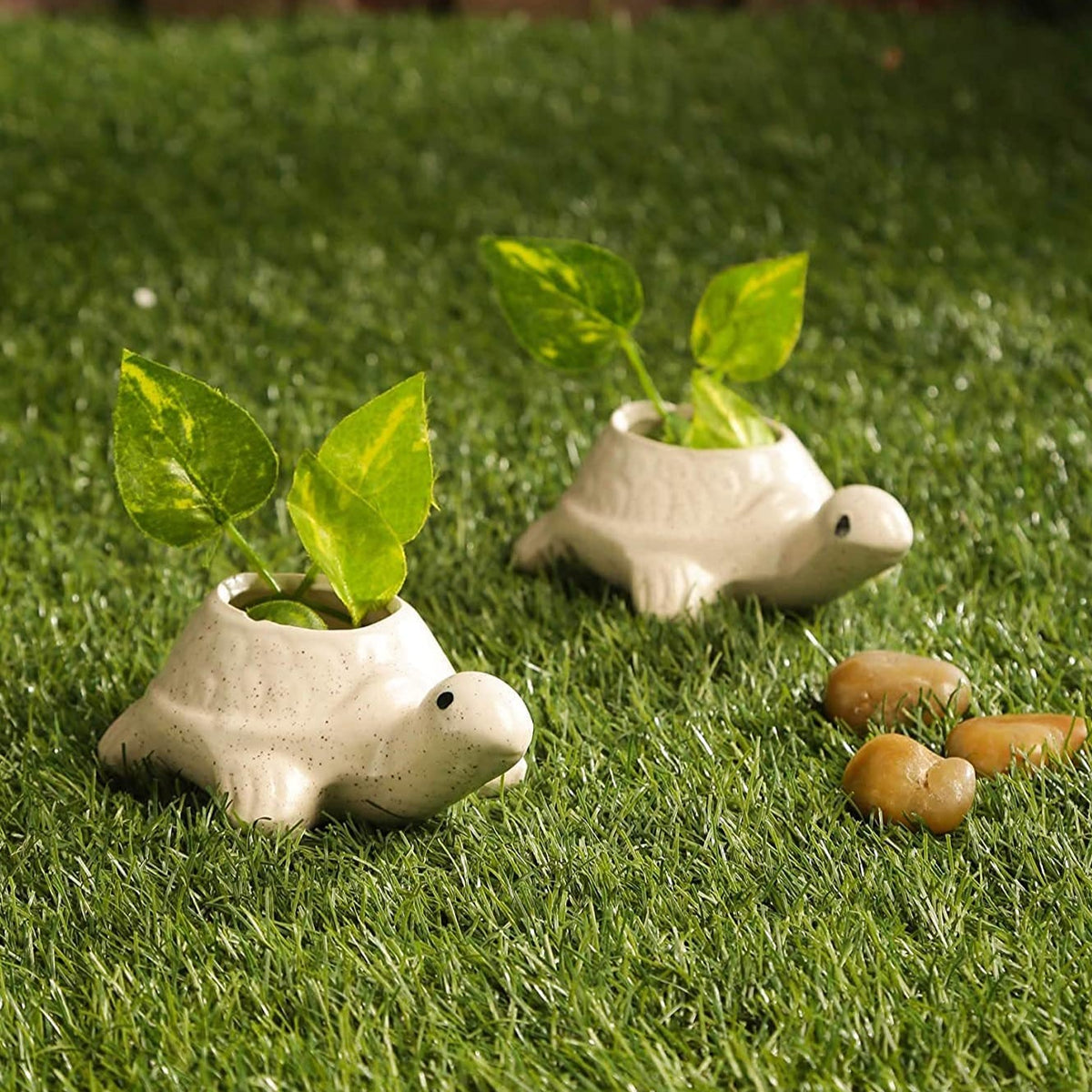 Ceramic Pots for Indoor Plants - Tortoise S/2