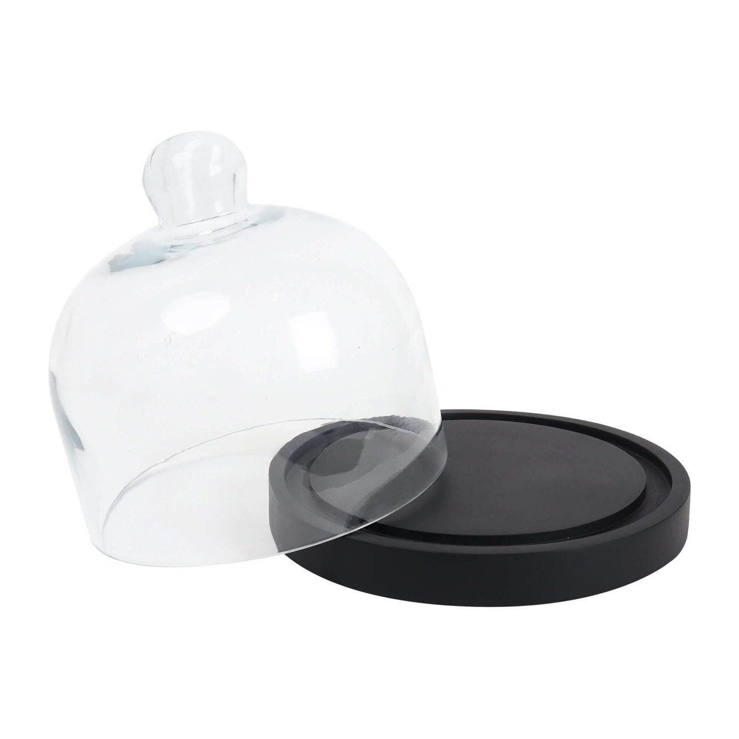 Cake Container with Dome - 7 INCH BL