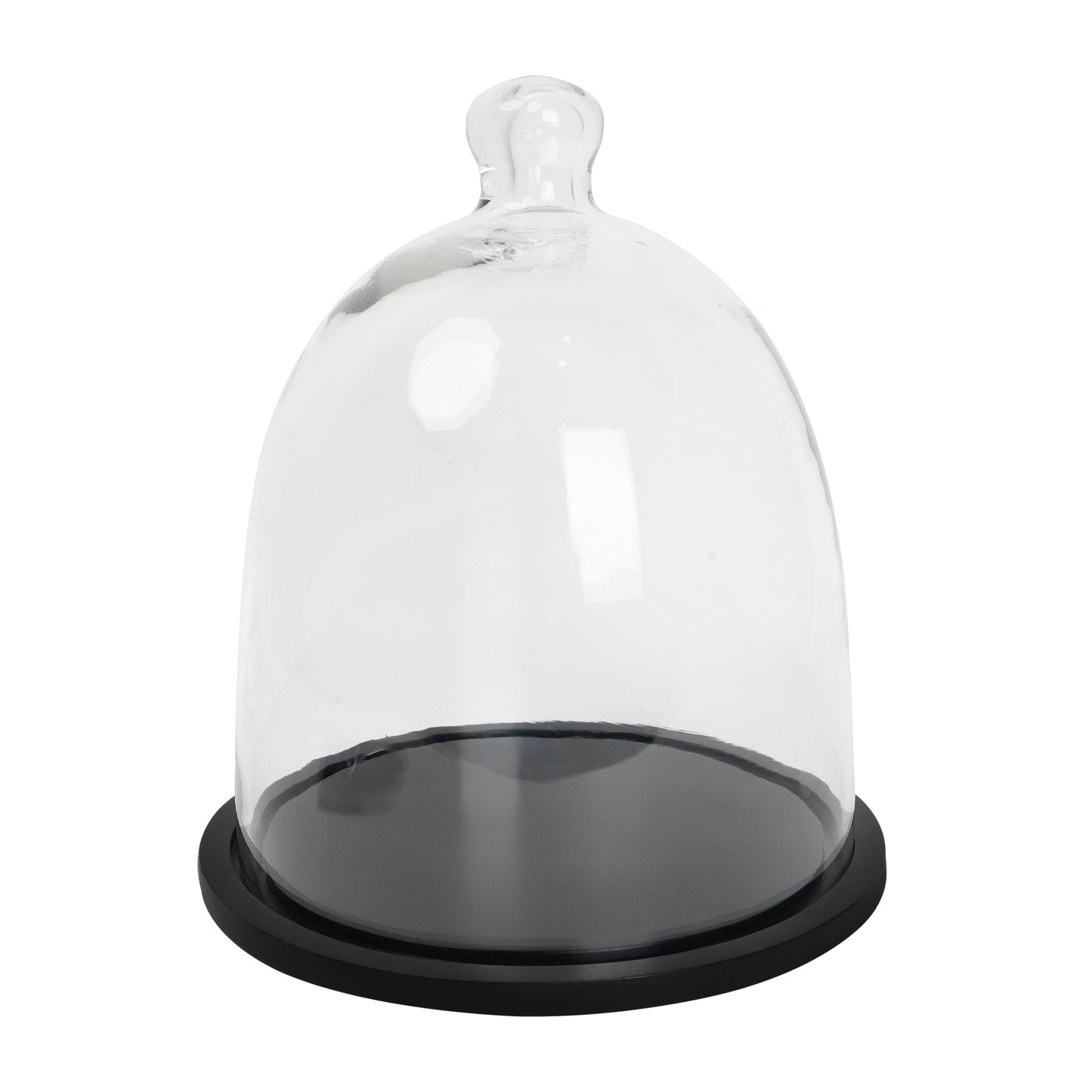 Cake Dome with Wooden Plate - 8 inch BL