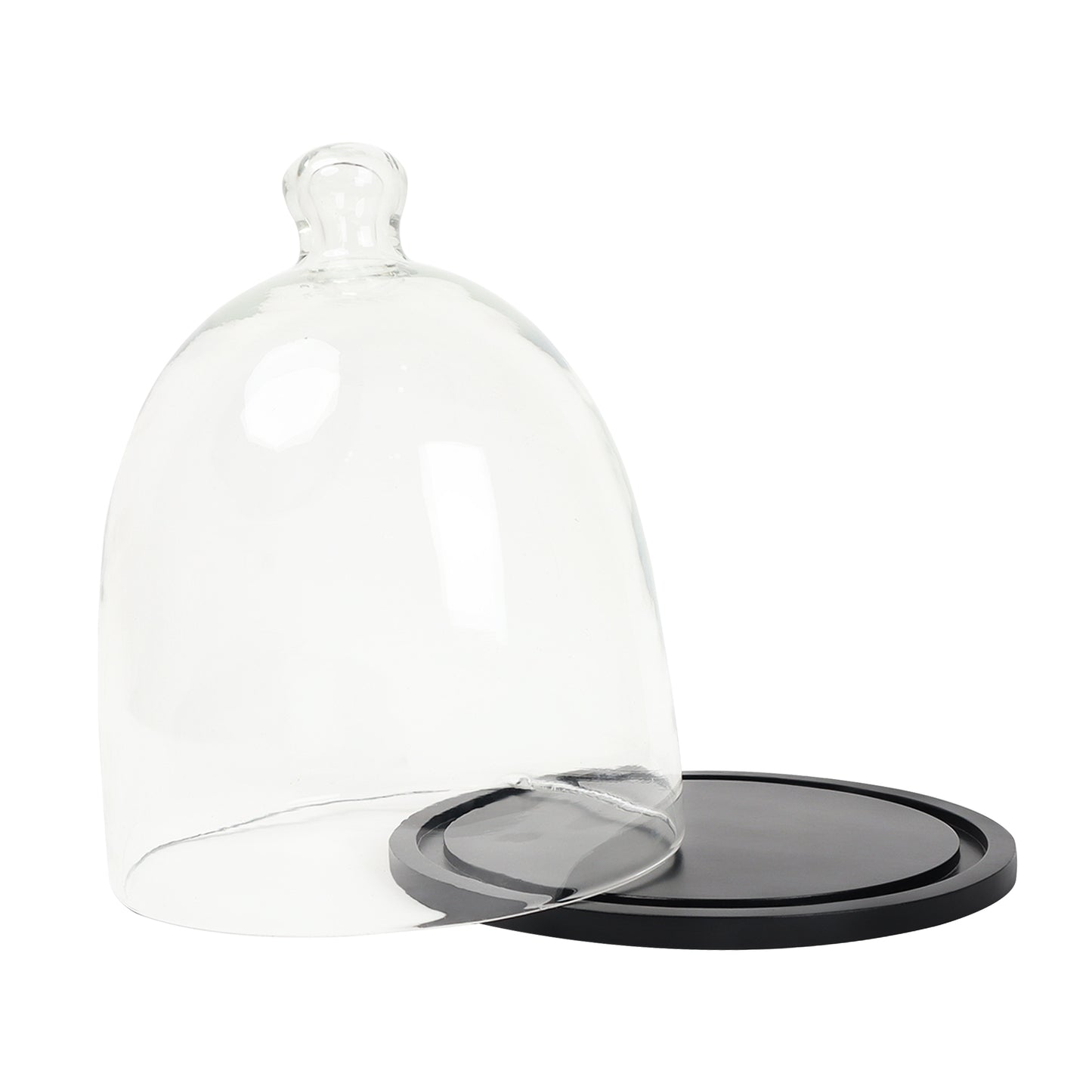 Cake Dome with Wooden Plate - 8 inch BL