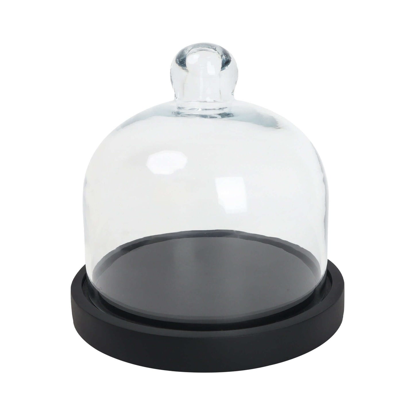 Cake Container with Dome - 7 INCH BL