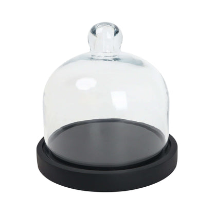 Cake Container with Dome - 7 INCH BL