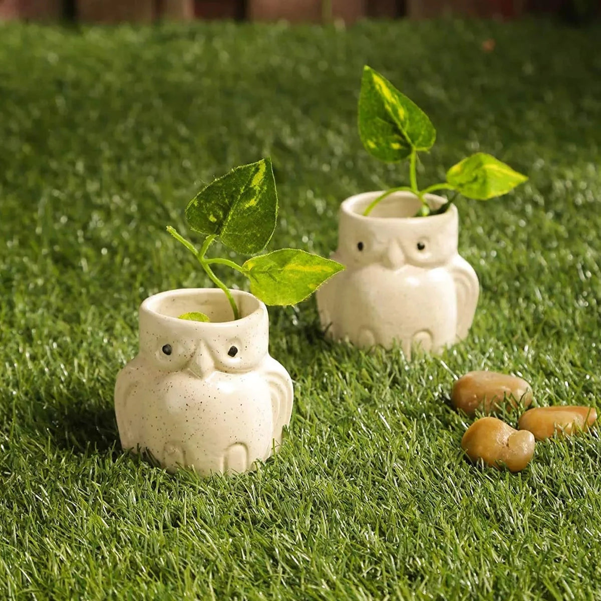 Mini Planters Set of 2 , Succulent Pot - OWL S/2