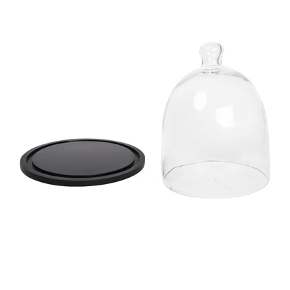 Cake Dome with Wooden Plate - 8 inch BL