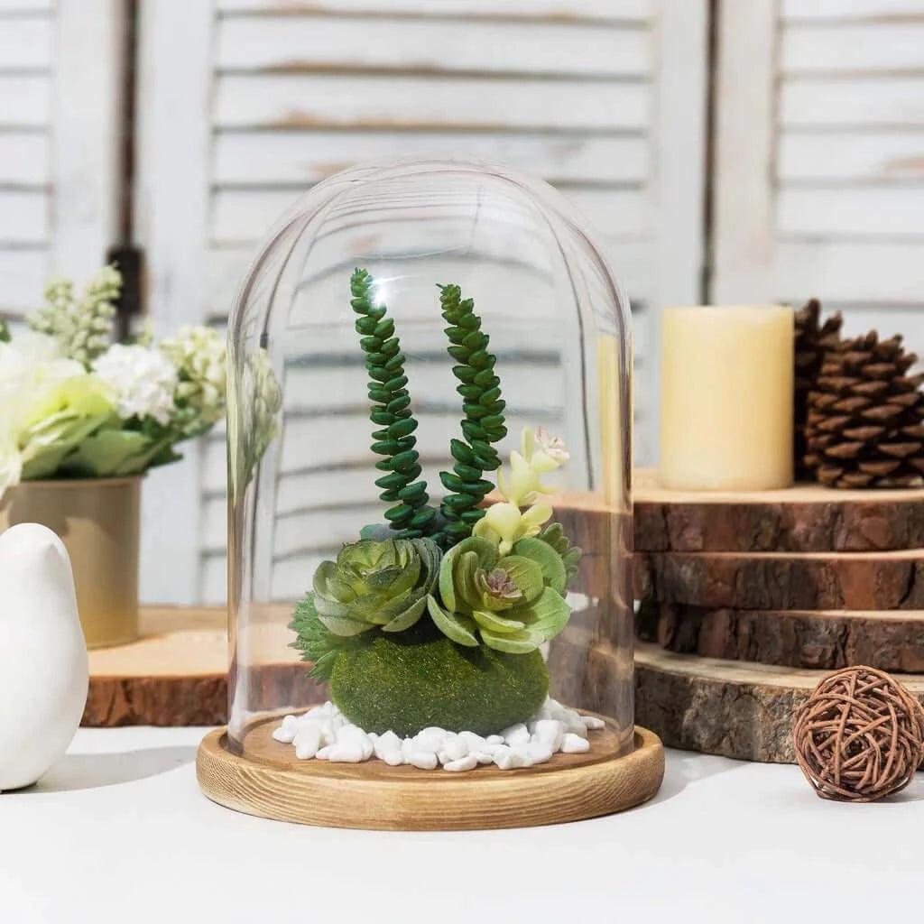 Decorative Clear Glass Dome , Cloche Bell Jar Display - 6 x 9 inch