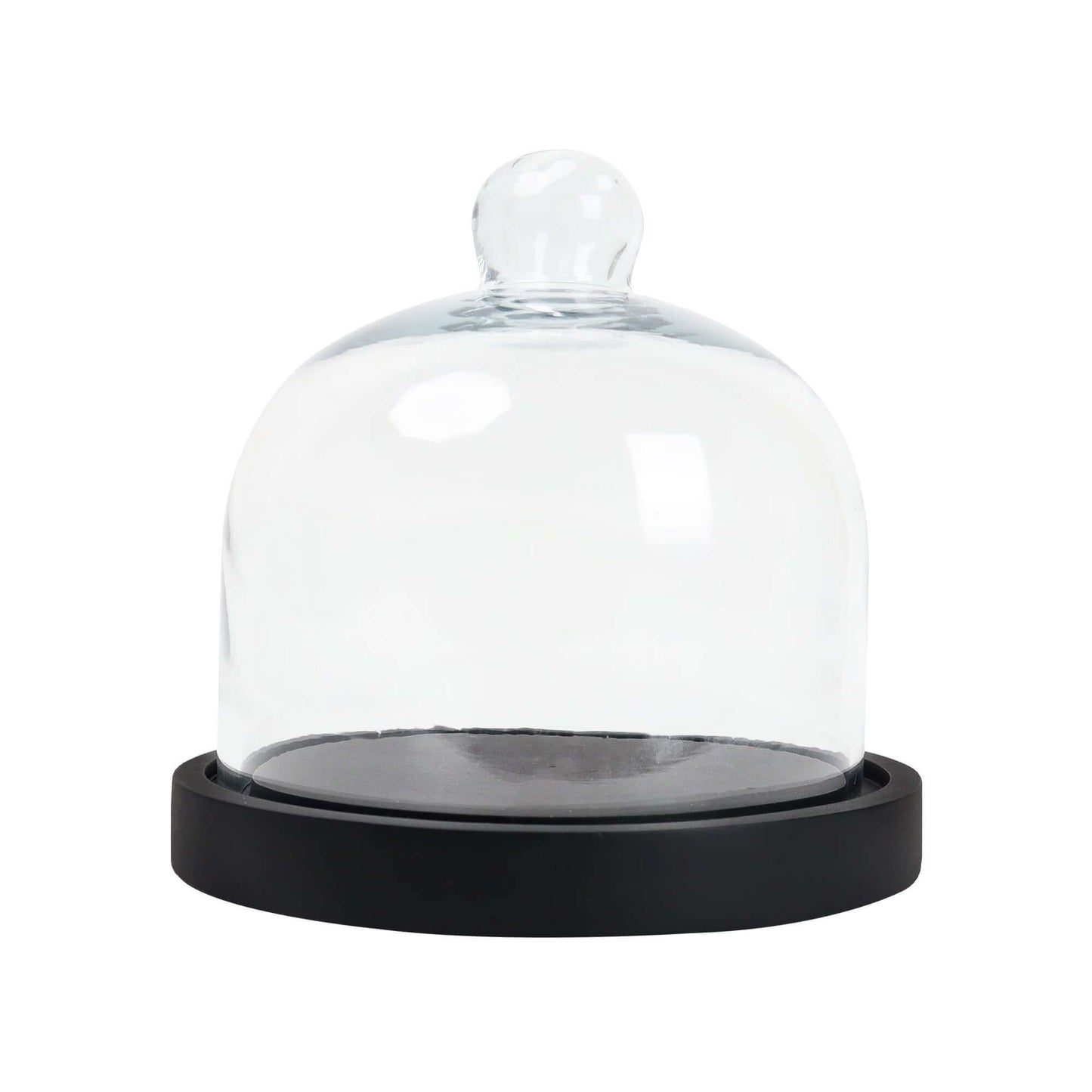 Cake Container with Dome - 7 INCH BL