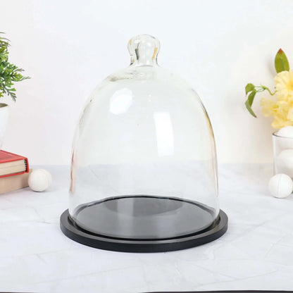 Cake Dome with Wooden Plate - 8 inch BL