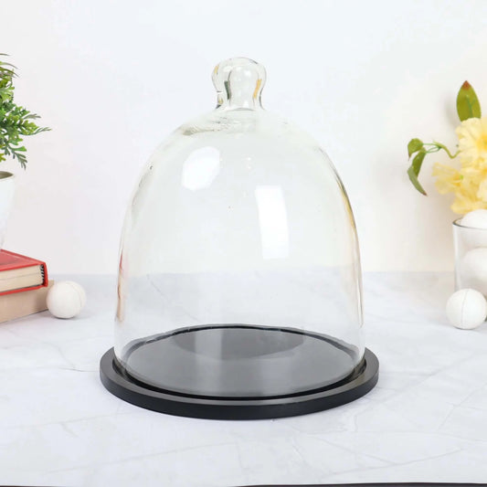 Cake Dome with Wooden Plate - 8 inch BL
